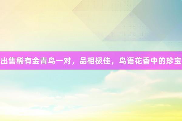 出售稀有金青鸟一对，品相极佳，鸟语花香中的珍宝